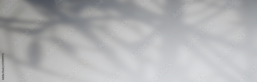 Abstract Shadows, blurred background of gray leaves and natural trees that reflect concrete walls, fallen branches on white wall surfaces for blurred backgrounds and black and white wallpapers. Abstract Shadows, blurred background of gray leaves and natural trees that reflect concrete walls, fallen branches on white wall surfaces for blurred backgrounds and black and white wallpapers.