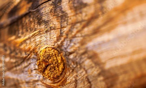 Knot on pine log of rural house with intricate lines and caked resin that  in lumps from heat. Structure of  timber is emphasized by caked melted resin and partially charred wood. Narrow focus. photo