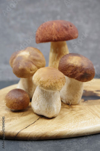 Boletus mushrooms on a wooden tray. Boletus edulis. Closeup