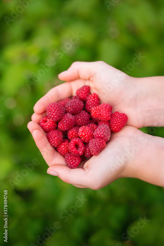 fruit in hand, food, berry, raspberry