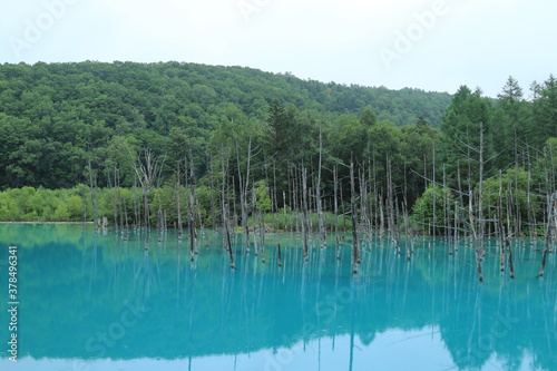 青い池