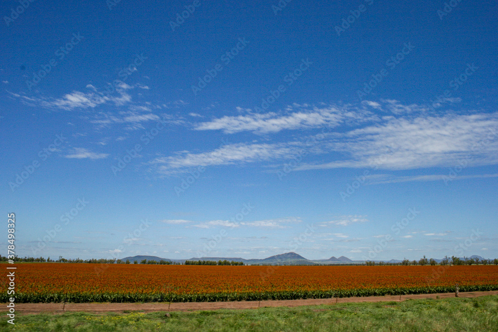 New South Wales Outback