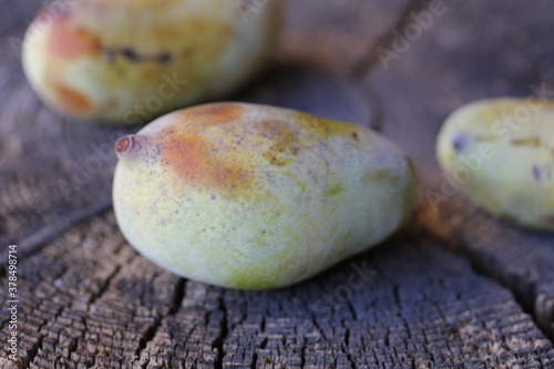Paw Paw | Asimine
