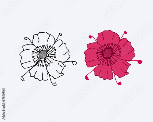 Pink Flower Art & Illustration