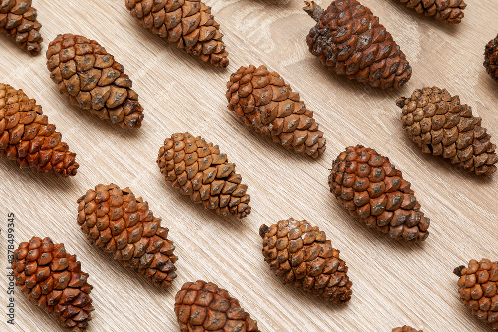 pine cones background