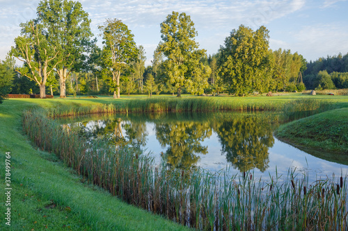 City Talsi, Latvia. Lake with water grass.