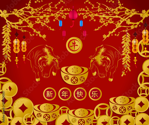 Happy chinese new year 2021 with cherry blossom flower year of the Ox