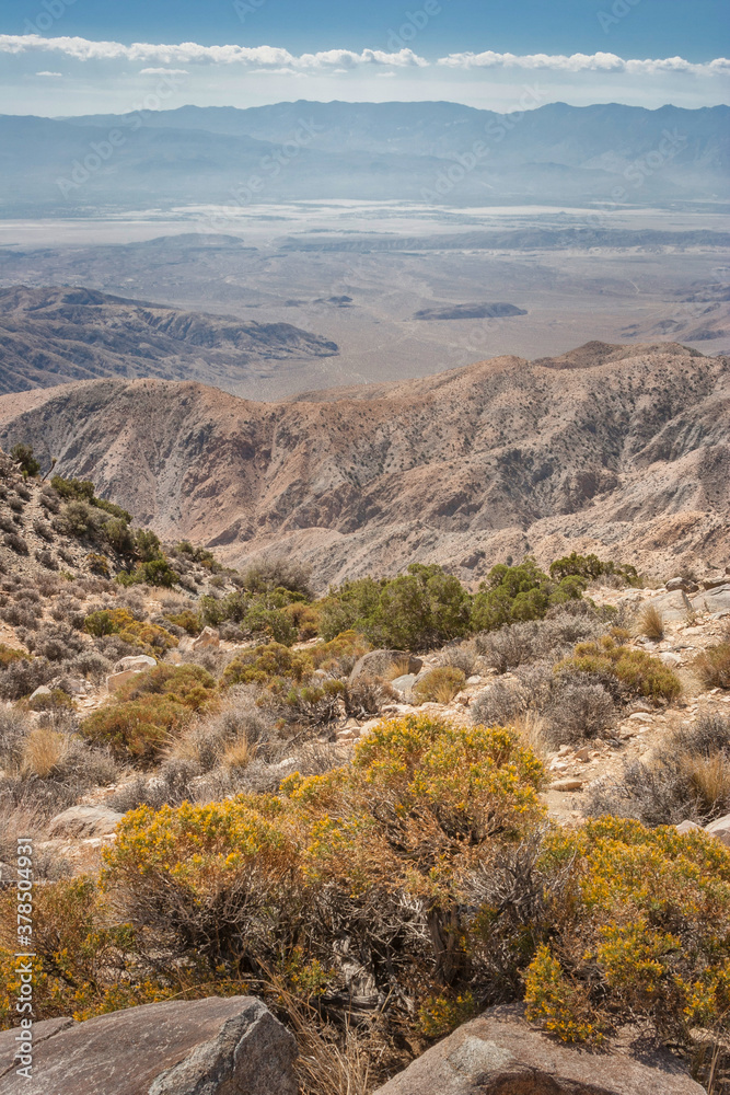 Amazing colors and contrast of Joshua Tree National Park, strange plants and vivid colors