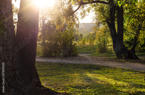 Paths for walking in the old Park among the trees. A ray of sunshine illuminates the roads and clearings. Beautiful scenery. Nature. photo