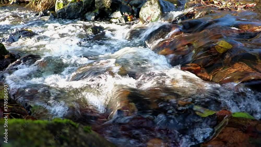 Water rapids on autumn stream. Autumn brook, close up. The Water cascade in rivulet with leaves under water. Water rapids on autumn stream. Autumn brook, close up. The Water cascade in rivulet with leaves under water.