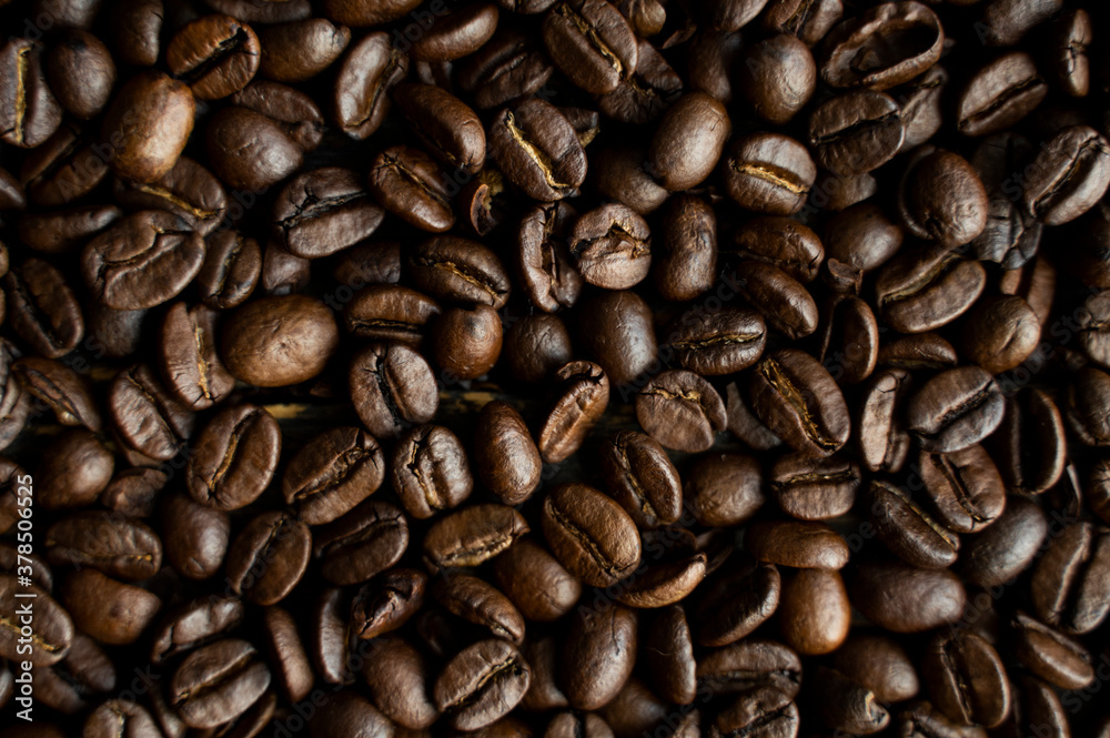 Fresh arabica coffee beans as a texture or background. Fresh arabica coffee beans as a texture or background.