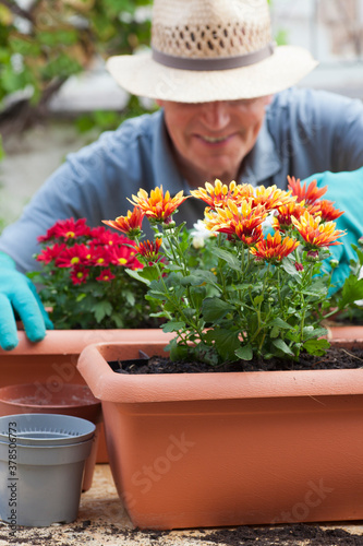 Mature smiling gardener working with flowers