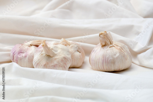 Garlic in a vintage wood plate on a white cloth background
