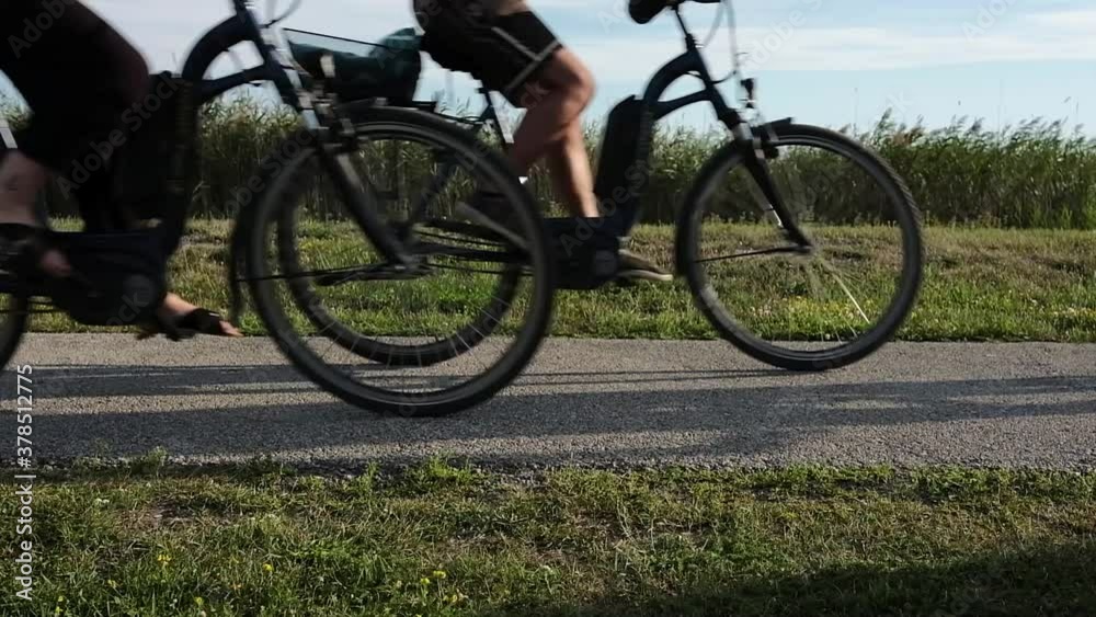 Cars and bicycles passing on the road and cycle path along a reed bed in Austria
Cars and bicycles passing on the road and cycle path along a reed bed in Austria
