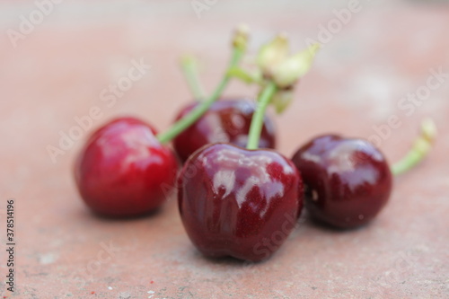 Cherry | Cerise photo