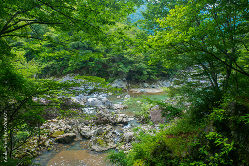 River flowing through the canyon