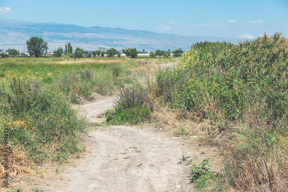 Uneven dirt road passing through the field