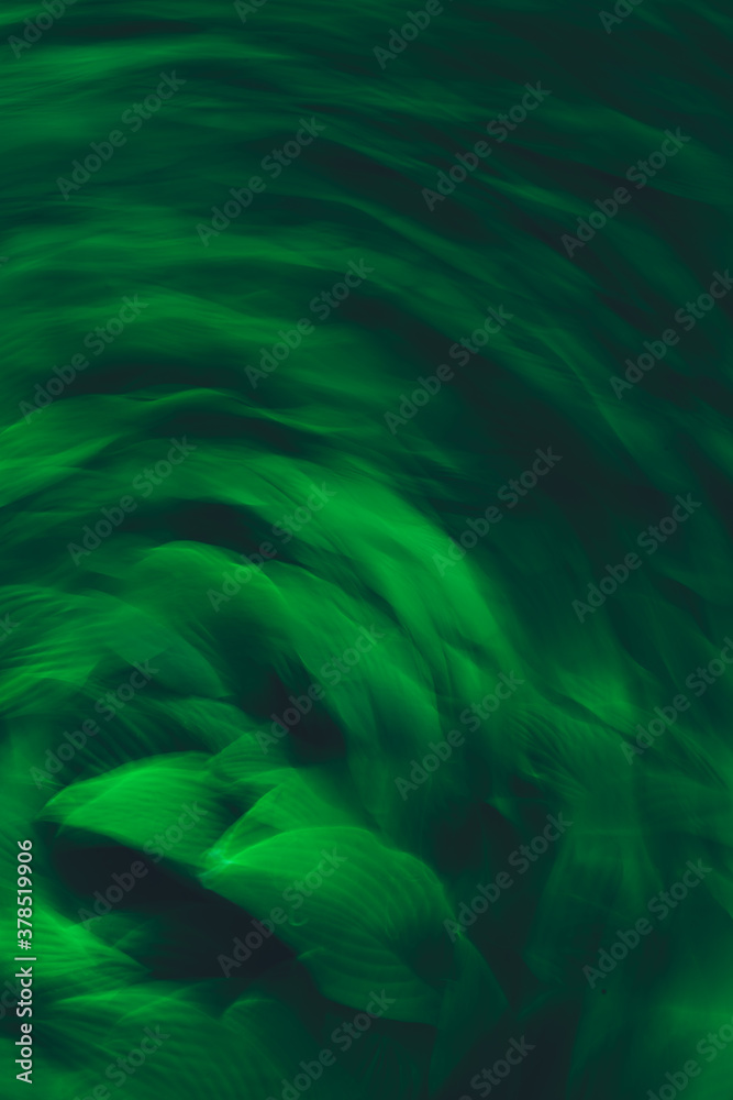 Textured motion blur long exposure of green plants and flowers. Green abstract swirling kaleidoscope pattern. Textured motion blur long exposure of green plants and flowers. Green abstract swirling kaleidoscope pattern.