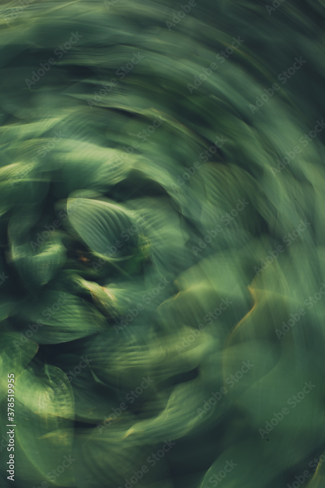 Obraz premium Textured motion blur long exposure of green plants and flowers. Green abstract swirling kaleidoscope pattern.