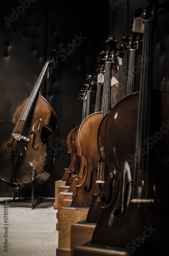 Fotografía de violonchelos expuestos en el escaparate de una tienda de música. photo