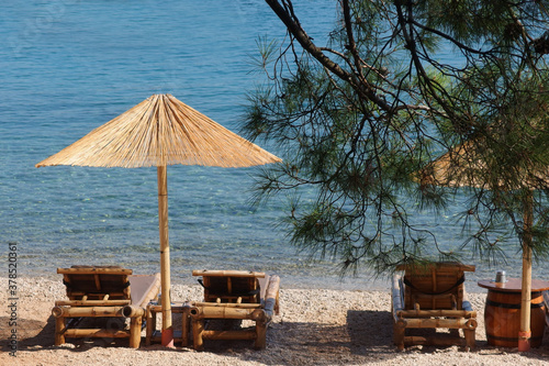 empty beach with calm blue sea  straw umbrella with sun beds  and branch of pine tree  Rovinj  Croatia