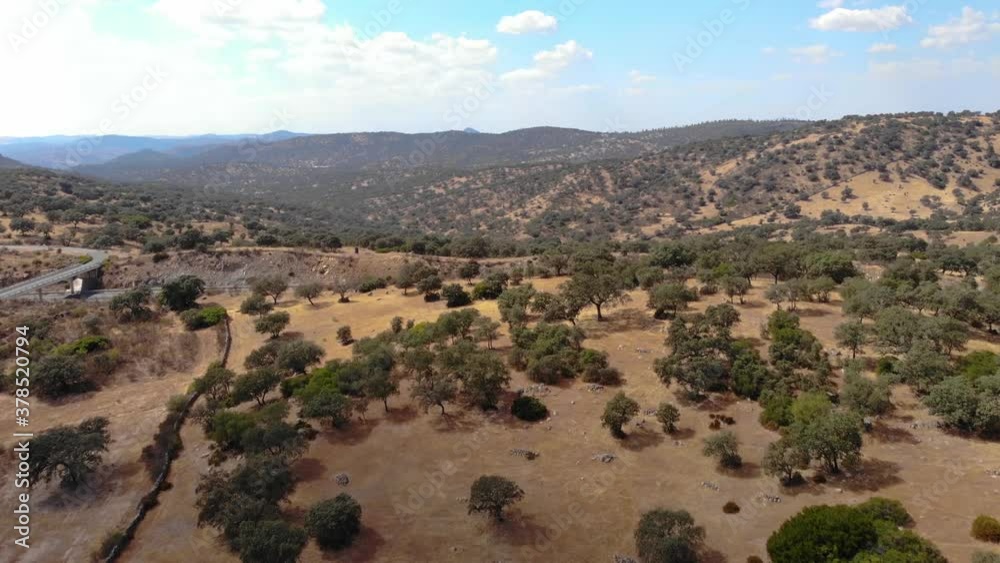 Aerial images over an area of Mediterranean forest. The shot slowly reveal a highway running through the mountains Aerial images over an area of Mediterranean forest. The shot slowly reveal a highway running through the mountains