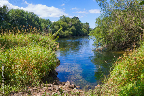 Ripian vegetation in Umia river