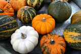 Colorful varieties of harvested pumpkins and squashes.  Thanksgiving and Halloween autumn decorative background