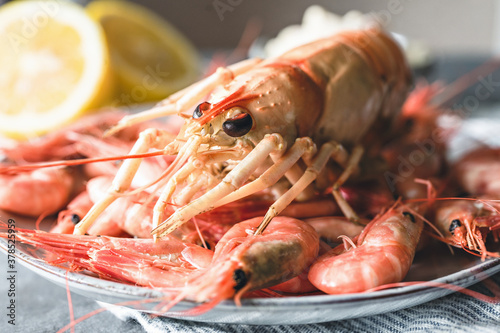 Wallpaper Mural lobster with lemon and shrimps Torontodigital.ca