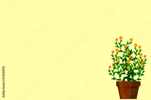 Small plant in pot isolated on white background by front view © Aozora