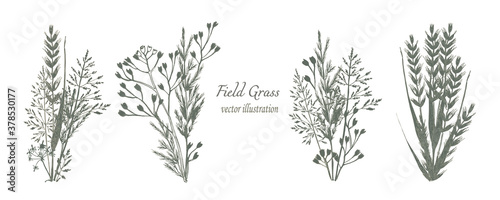 botanical illustration. Beautiful compositions of bouquets of field grass of green and brown shades of flowers. Vector set of elements for your design.