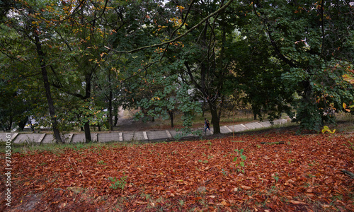 Wallpaper Mural Autumn in Budapest Torontodigital.ca