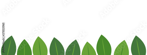 sfondo, grafica, foglie, natura