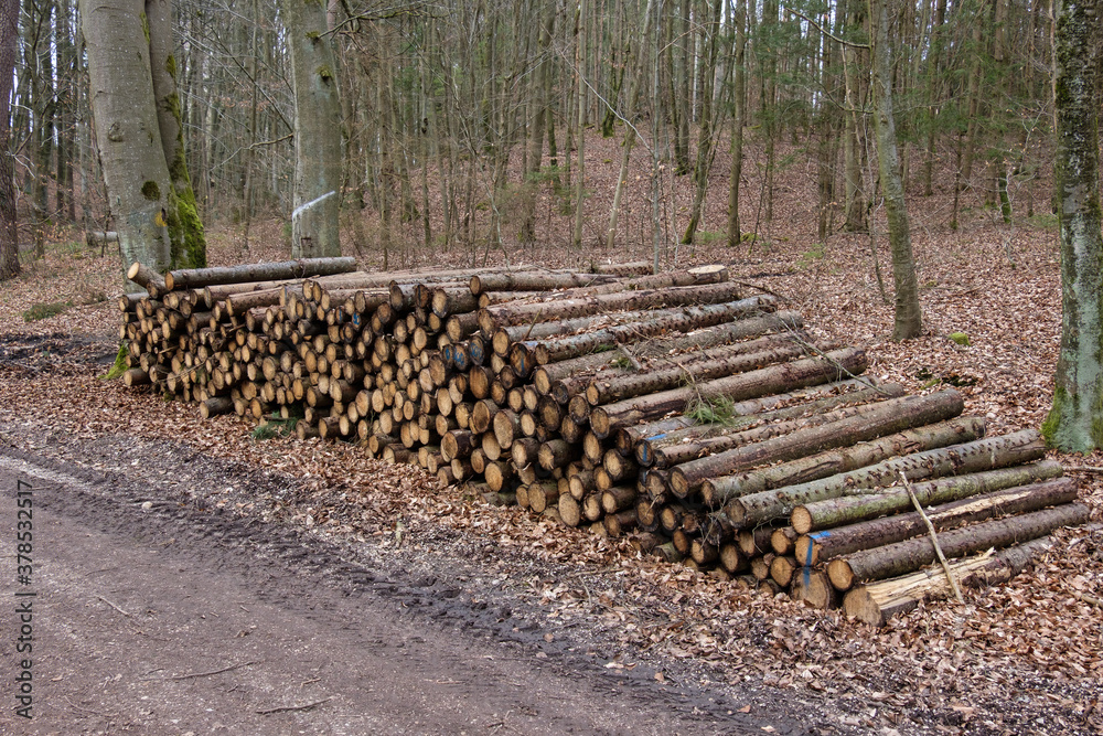 Gestapeltes Holz / Baumstämme liegen auf einem Haufen an einem Waldweg im Wald (Forstwirtschaft / Holzwirtschaft)