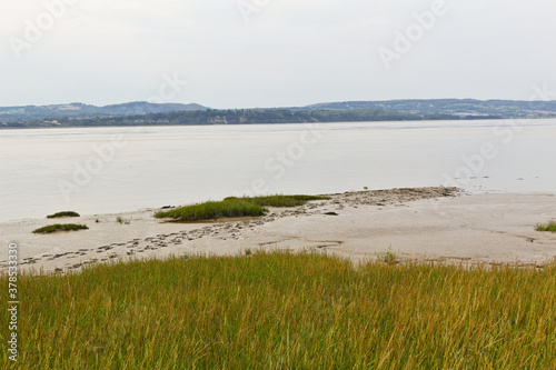 sandy tracks on the beach grass