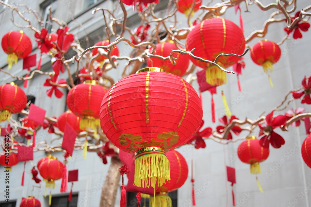 chinese new year wishing tree tradition