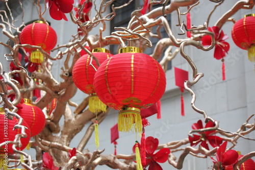 Chinese New year wishing tree where lanterns are on tree and people place wishes on red paper then pin to tree. Some famous trees have people travel great distance 