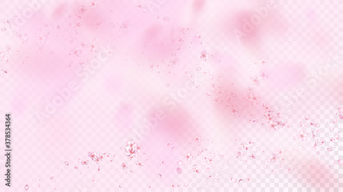 Nice Sakura Blossom Isolated Vector. Realistic Flying 3d Petals Wedding Paper. Japanese Beauty Spa Flowers Wallpaper. Valentine, Mother's Day Beautiful Nice Sakura Blossom Isolated on Rose