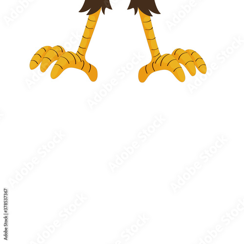 An illustration of eagle or another animal claws or talons