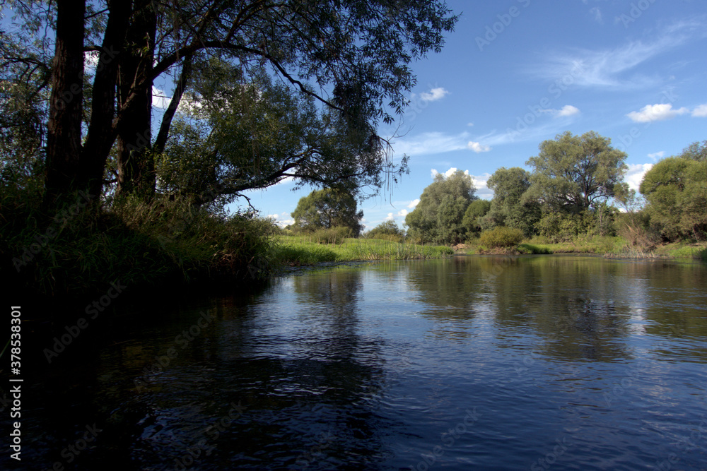 A large willow tree on a grassy river bank on a summer day. Whirlpool. A large willow tree on a grassy river bank on a summer day. Whirlpool.
