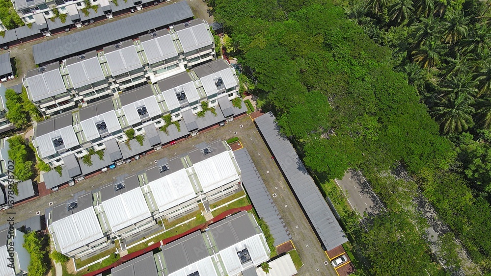 Housing roofs with trees aligned neatly covering the road, revealing a partial street Housing roofs with trees aligned neatly covering the road, revealing a partial street