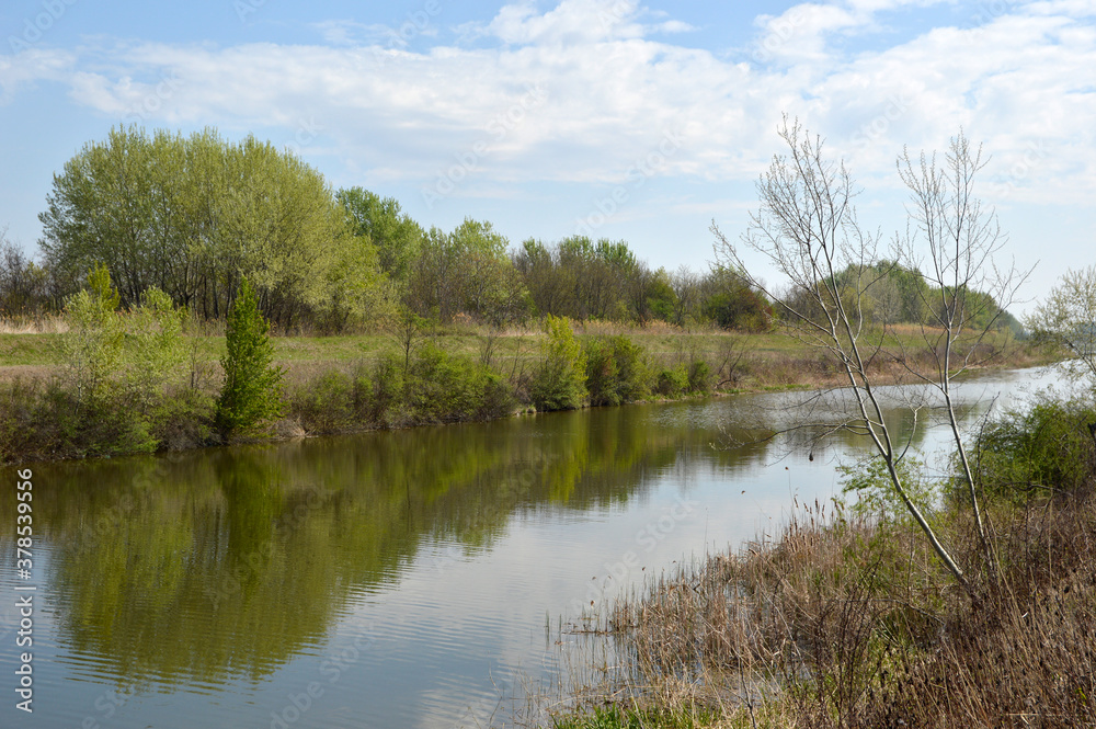 spring landscape by the river reflected in the water