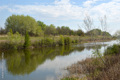 spring landscape by the river reflected in the water