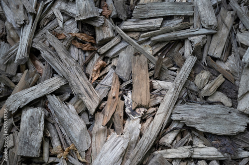 Background of Brown Wooden chips 