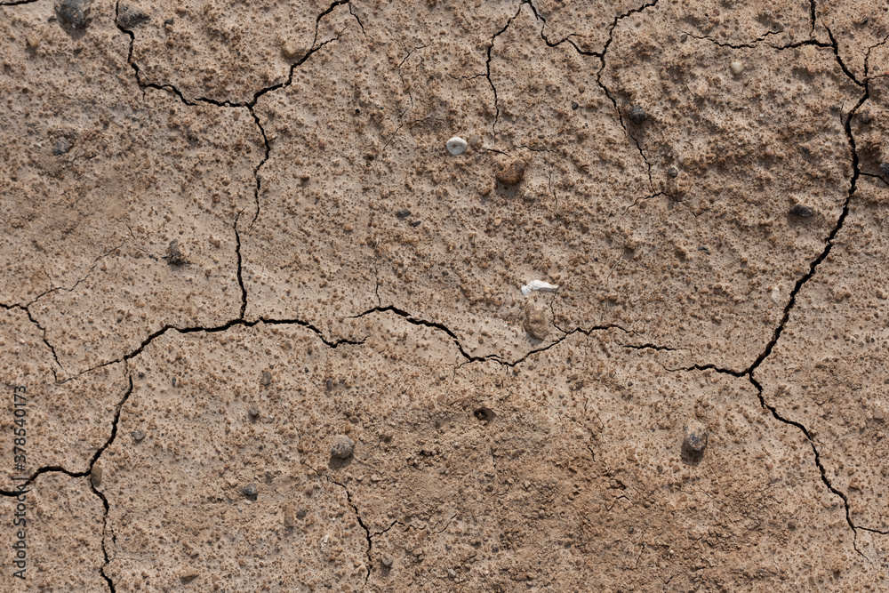 Fototapeta premium Dried cracked earth soil ground texture background.