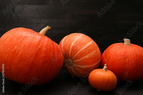 pumpkin on a dark background for halloween