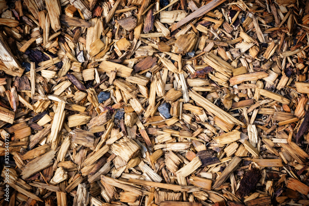 Background of Brown Wooden chips Background of Brown Wooden chips