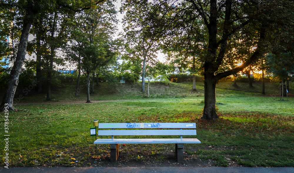 An empty bench in front of a tree and the sunrise right in the background throwing lightning to the park