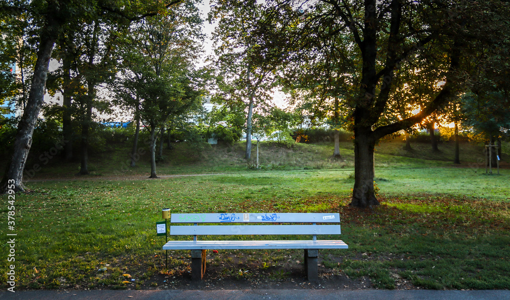 An empty bench in front of a tree and the sunrise right in the background throwing lightning to the park An empty bench in front of a tree and the sunrise right in the background throwing lightning to the park