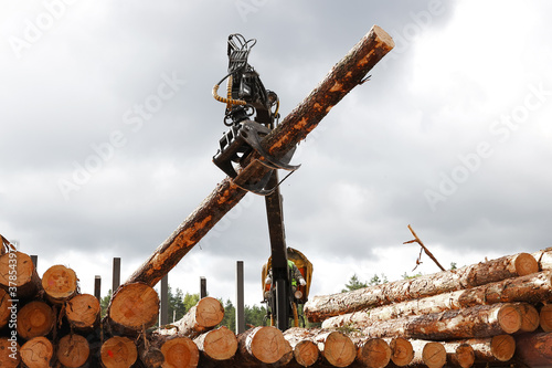 Log truck unloads logs at the sawmill